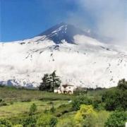 Tenuta Kiwi dell’Etna