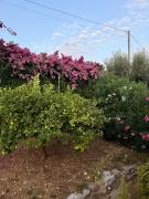 Top Zambrone
