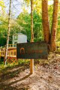 Top Beattyville
