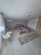 Top Sviniţa