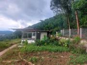 Sim tím homestay