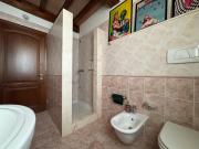 Top Carpi