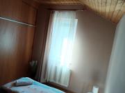 My Home Tulipán
