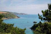 Top Salcombe