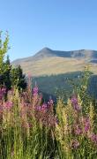 Pensiunea Panoramic - Transalpina Rânca