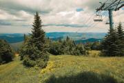 Top Snowshoe