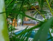 Top Punta Uva