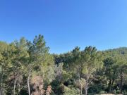 Top Urla