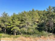 Top Urla