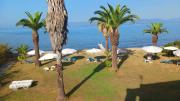 Top Kavos