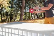 Top Talmont