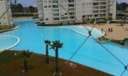Top Algarrobo