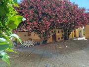 Top Marsala