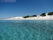 Top Porto Pino