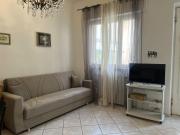 Top Camaiore
