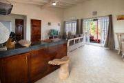 Top Bocas del Toro