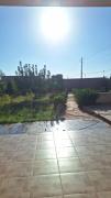 Top Oulad Teima
