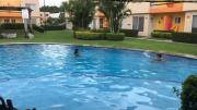 Top Yautepec