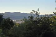 Top Blue Ridge