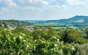Top Arqua Petrarca