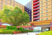 Top Hashima