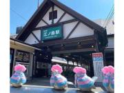 Top Fujisawa