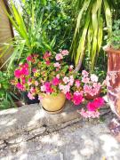 Top Castillon-du-Gard
