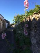 Top La Brée-les-Bains