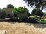 Top Ses Salines