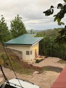 The Jungle Chalet