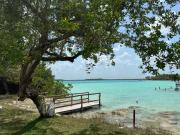 Top Bacalar