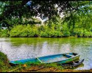 Top Kottayam