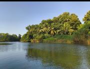 Top Kottayam