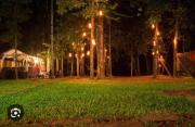 Top Kottayam