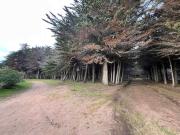 Top Quintay