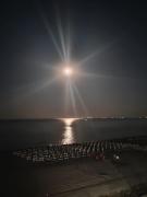 Top Mamaia Top Mamaia