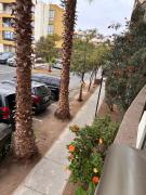 Top Arica