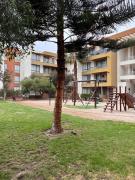 Top Arica