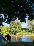 Camping Bela krajina - Pitches