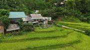 Top Lũng Tiềm