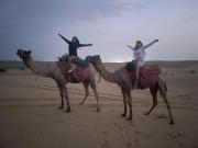 Top Jaisalmer Top Jaisalmer
