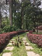 Top Chikmagalur