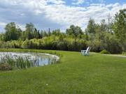Top Rangeley