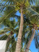 Top Bangrak Beach