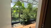 Top Alleppey