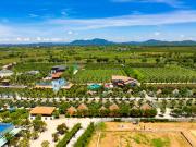 Top Bâu Ruộng (1)