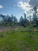 Top Nanyuki