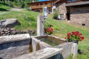 Top Grauno