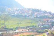 Top Ooty