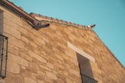 Top Alcañiz